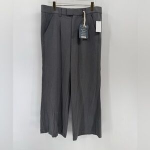 Democracy "Ab"solution
Skyrise gray wide leg‎ pants size 14p NWT